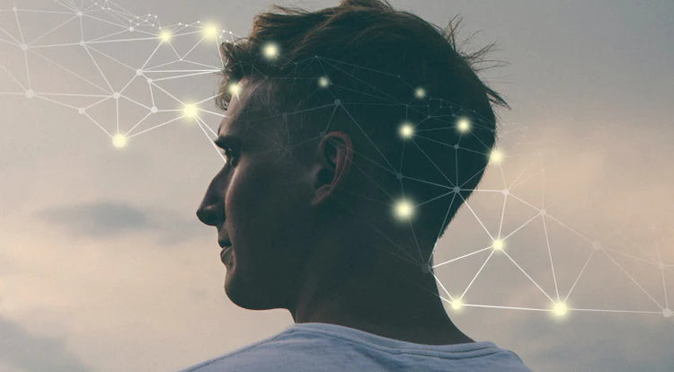 Vasant Lad Seminar - Recorded Ayurveda and neuroscience